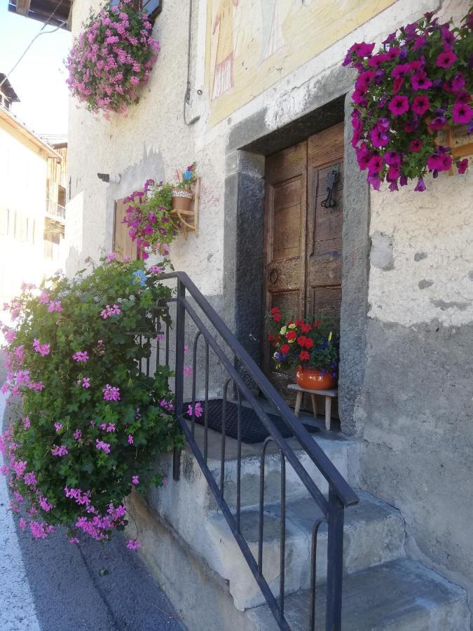 Dolomites Holidays Selva di Cadore Exterior foto